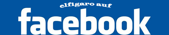 elfigaro auf Facebook